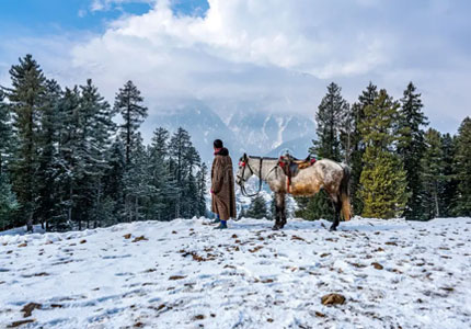Pahalgam Day Trip | Betaab & Aru Valley