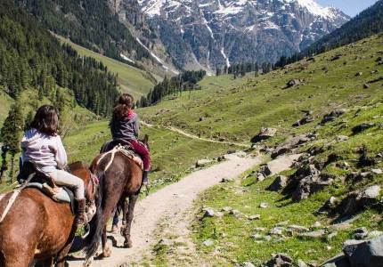 Excursion to Gulmarg or Pahalgam (Optional) | Adventure & Sightseeing