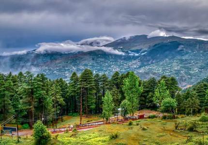 Patnitop