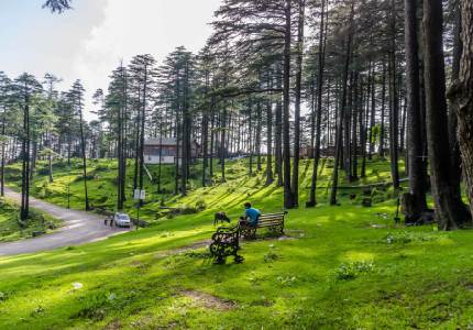 Amritsar - Patnitop