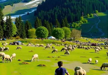 Sonamarg Adventure | Glacial Views & Leisure Activities