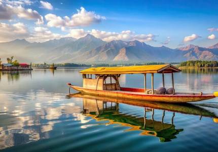Srinagar arrival  