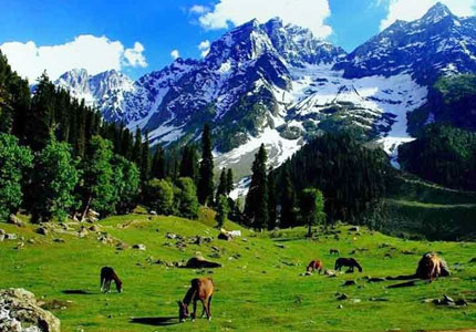 Kashmir Trails
