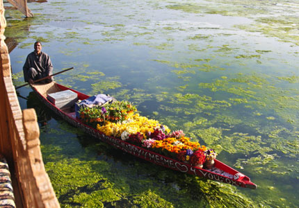 Kashmir Week: Valley & Beyond
